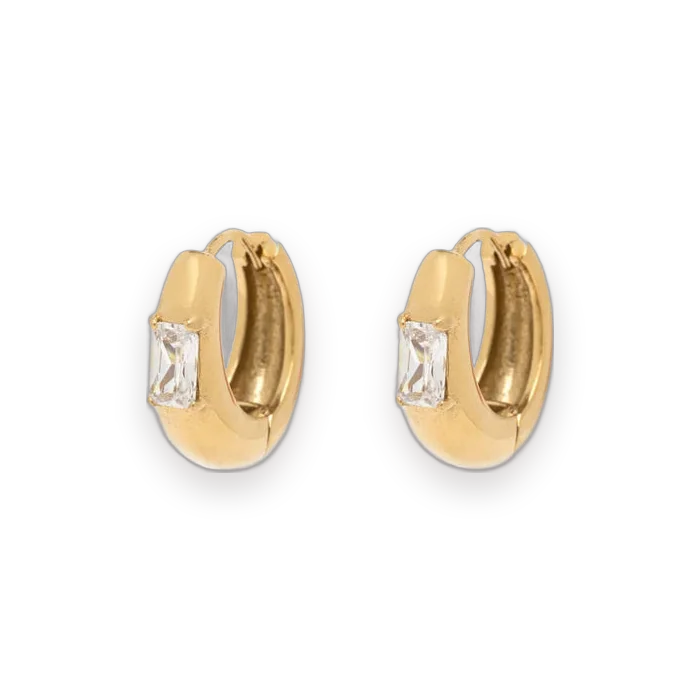 Pura Vida Dome With Stone Hoop Earrings